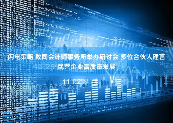 闪电策略 致同会计师事务所举办研讨会 多位合伙人建言民营企业高质量发展