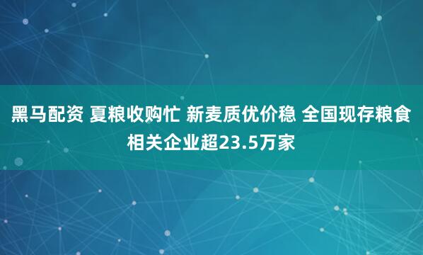 黑马配资 夏粮收购忙 新麦质优价稳 全国现存粮食相关企业超23.5万家