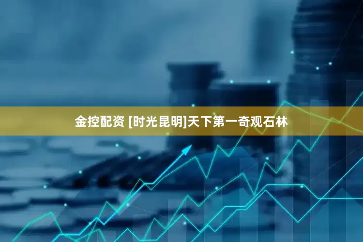 金控配资 [时光昆明]天下第一奇观石林